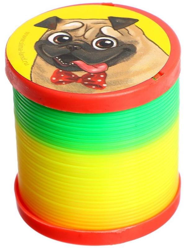 Пружинка радуга «Лучший друг», d=5 см