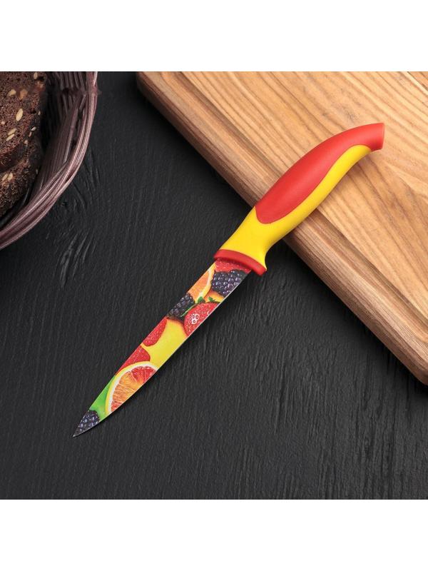 Нож с антиналипающим покрытием Доляна «Фрукты», лезвие 12 см