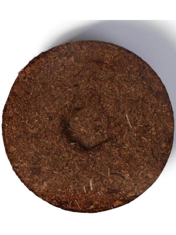 Таблетки торфяные, d = 8 см, без оболочки, набор 6 шт., «Торфолин-А»