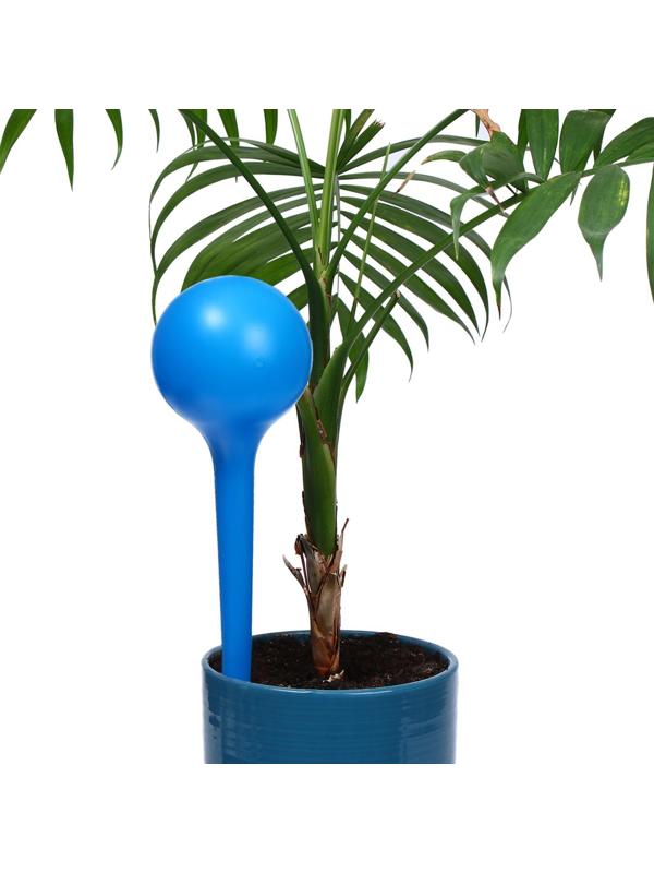 Автополив, 380 мл, пластик, цвет МИКС