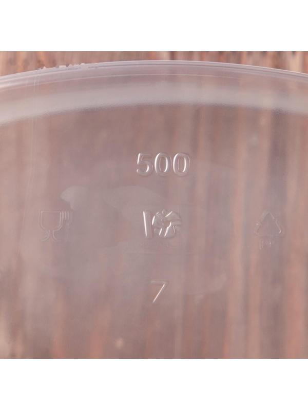 Контейнер одноразовый «Юпласт», 500 мл, 13,8×10,2×5,9 см, средний, цвет прозрачный