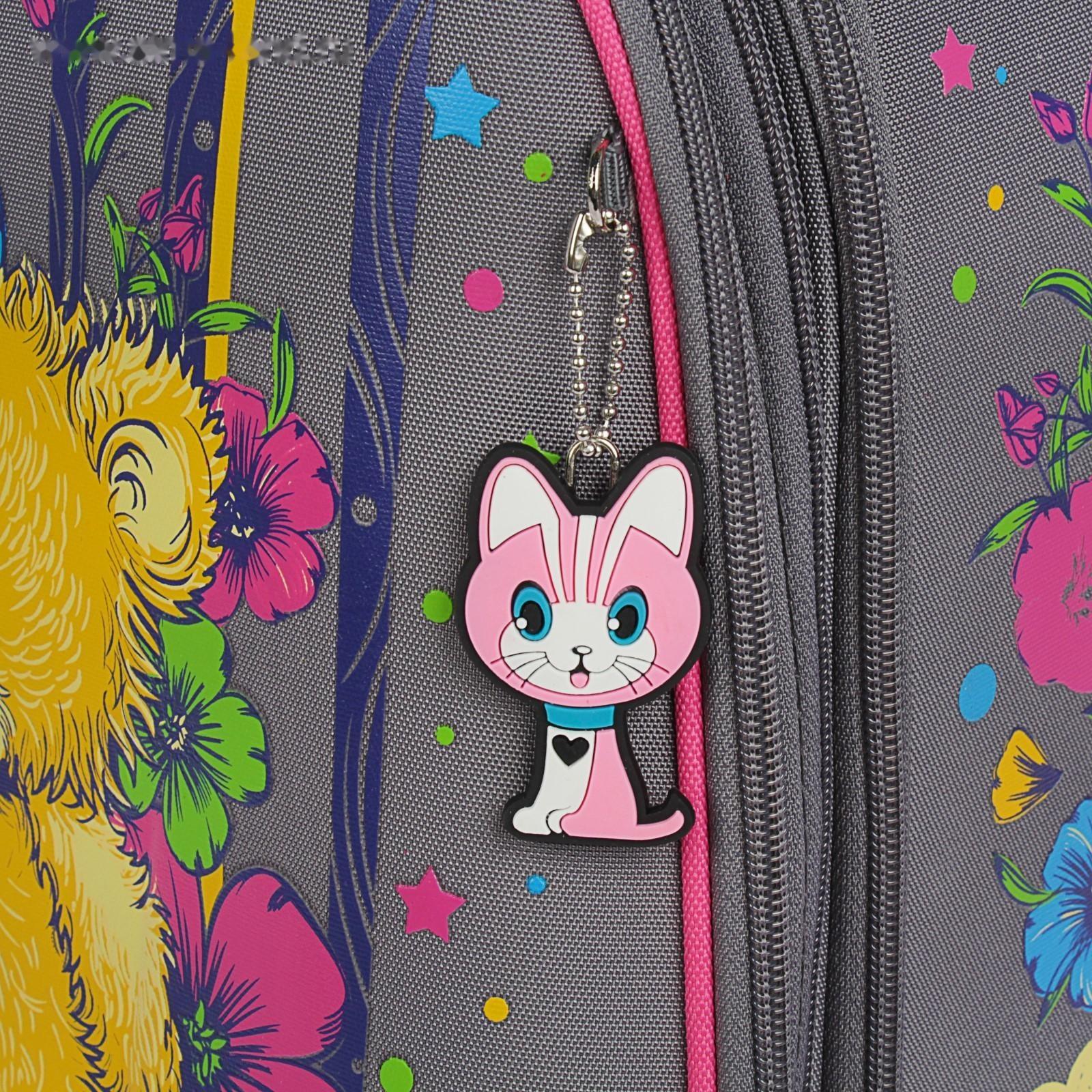 Рюкзак каркасный школьный 36 х 28 х 16 см, эргономичная спинка, Stavia 