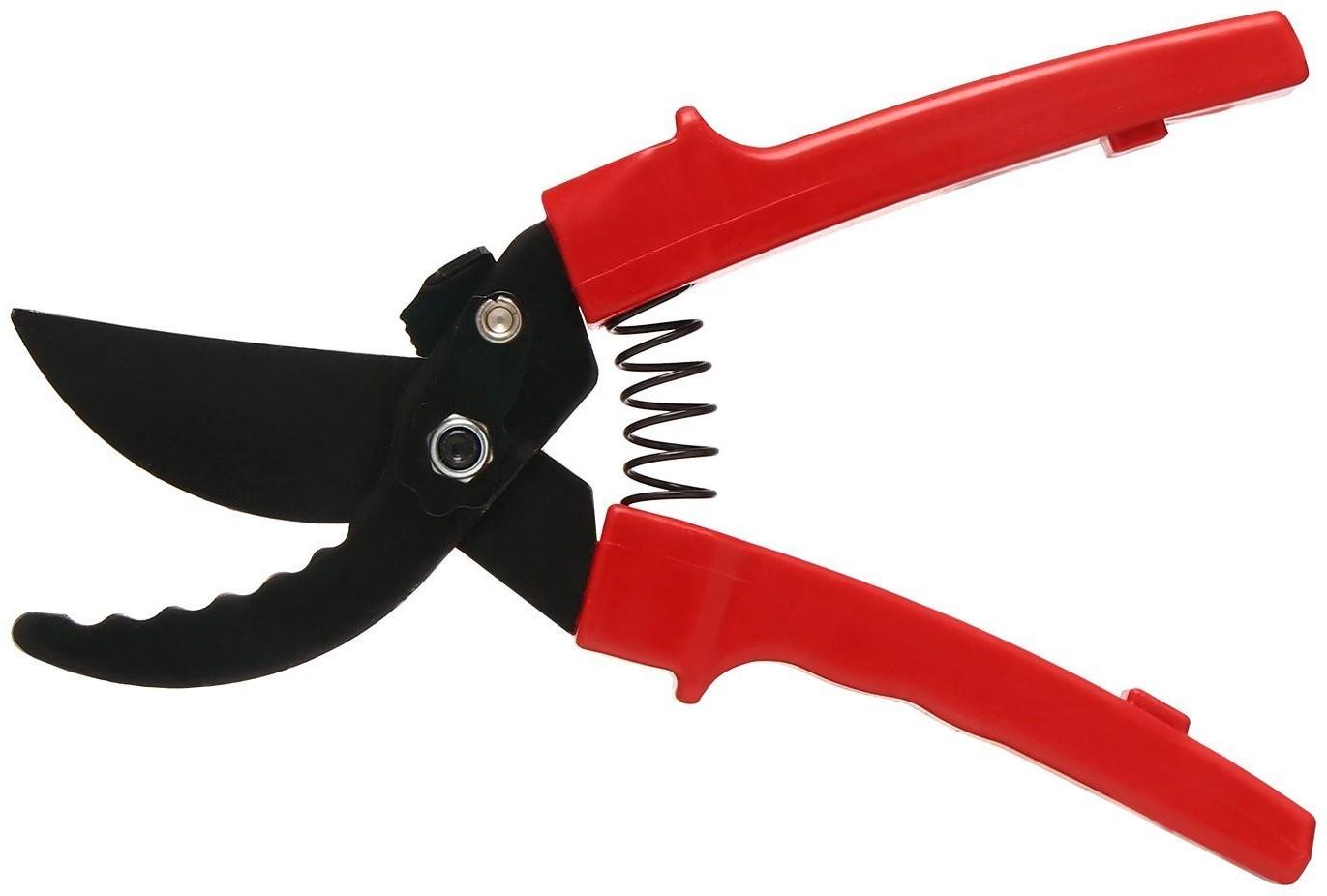 Секатор плоскостной, 9