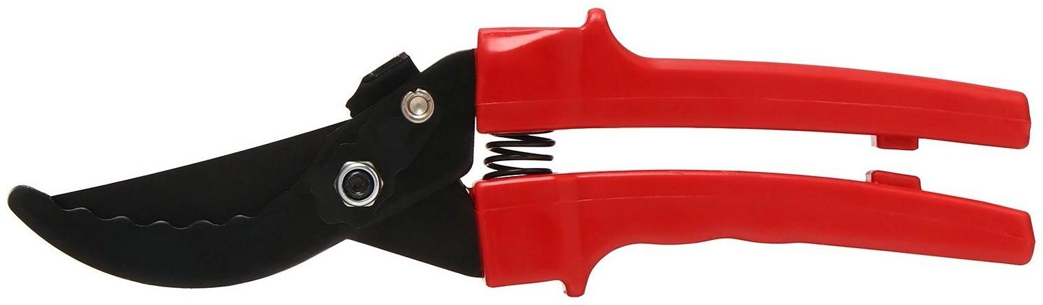 Секатор плоскостной, 9