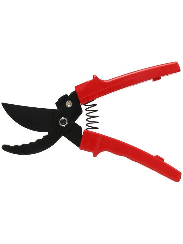 Секатор плоскостной, 9