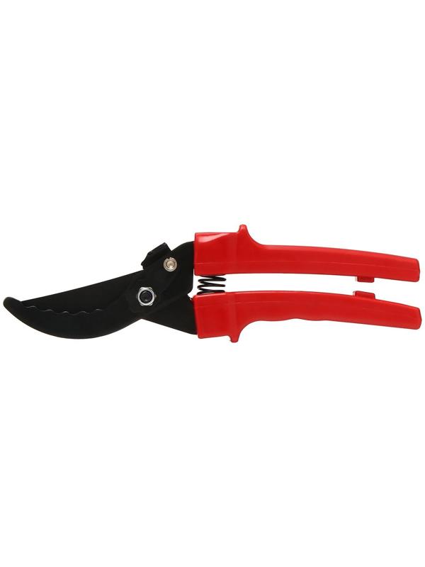 Секатор плоскостной, 9