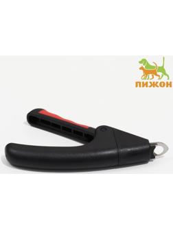 Когтерез-гильотина с нескользящей ручкой, 13,5 х 8 х 2 см, эконом, микс цветов