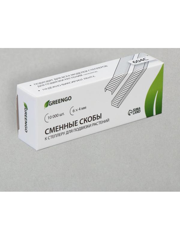 Скобы для тапенера Tapetool «B», для крепления растений, набор 10 000 шт.