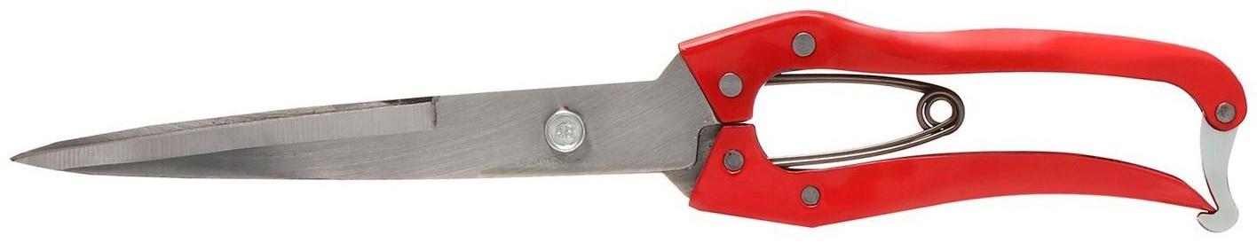 Ножницы садовые, 12