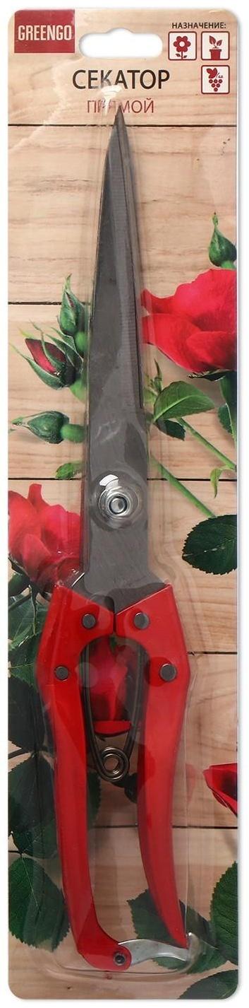 Ножницы садовые, 12