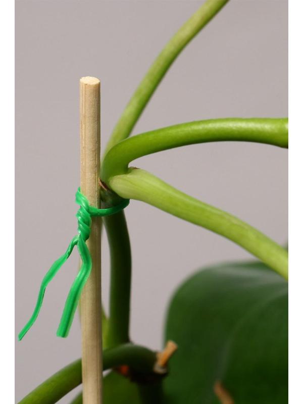 Проволока подвязочная, 50 м, зелёная, Greengo