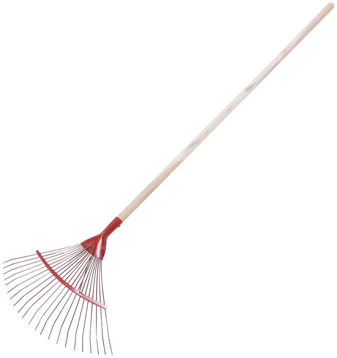Грабли веерные, пластинчатые, 20 зубцов, металл, деревянный черенок, 1 сорт