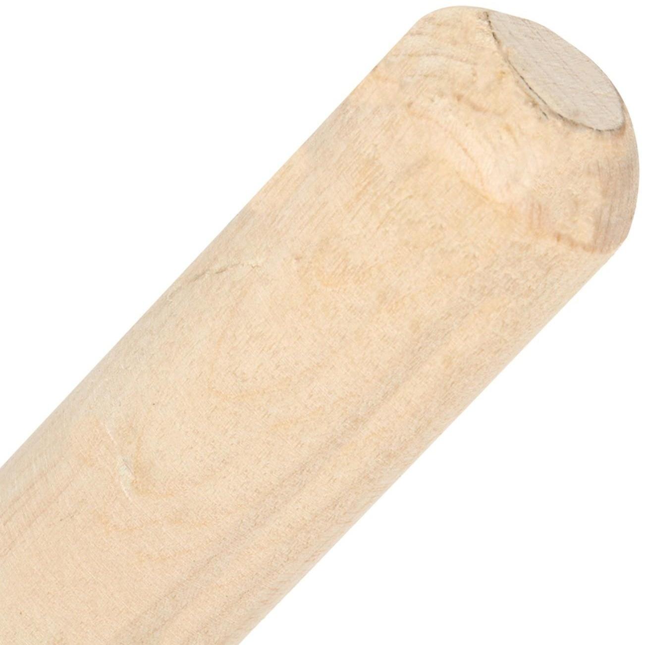 Грабли веерные, пластинчатые, 20 зубцов, металл, деревянный черенок, 1 сорт