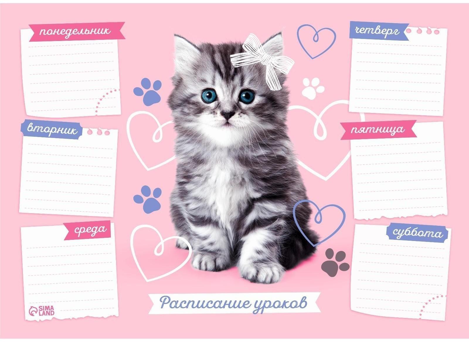 Расписание уроков 