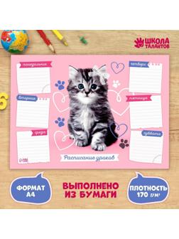 Расписание уроков 