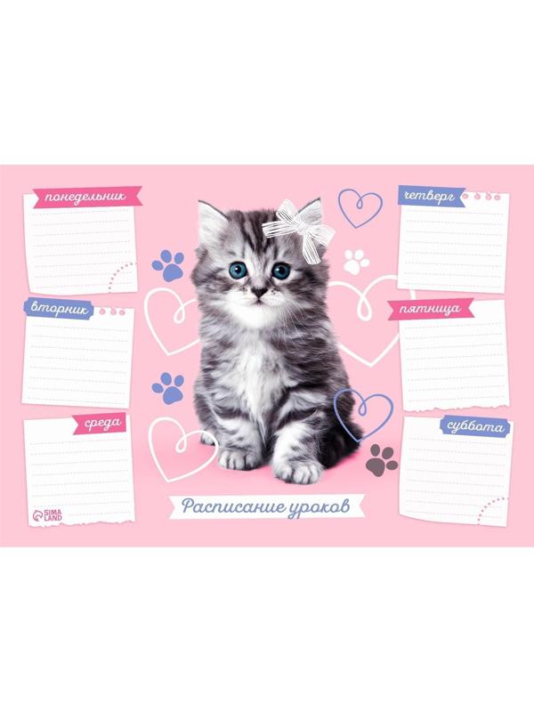 Расписание уроков 