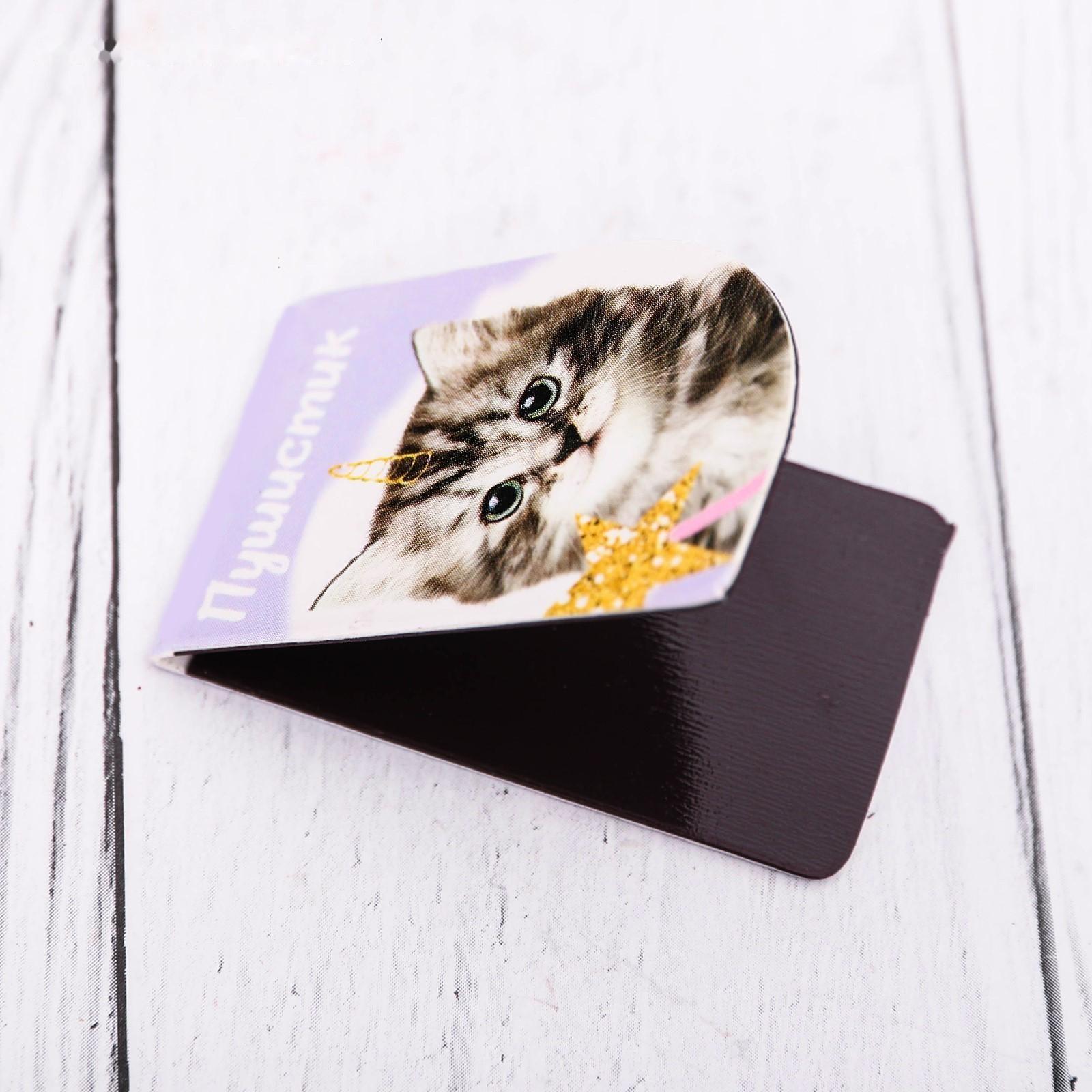 Набор магнитных закладок 