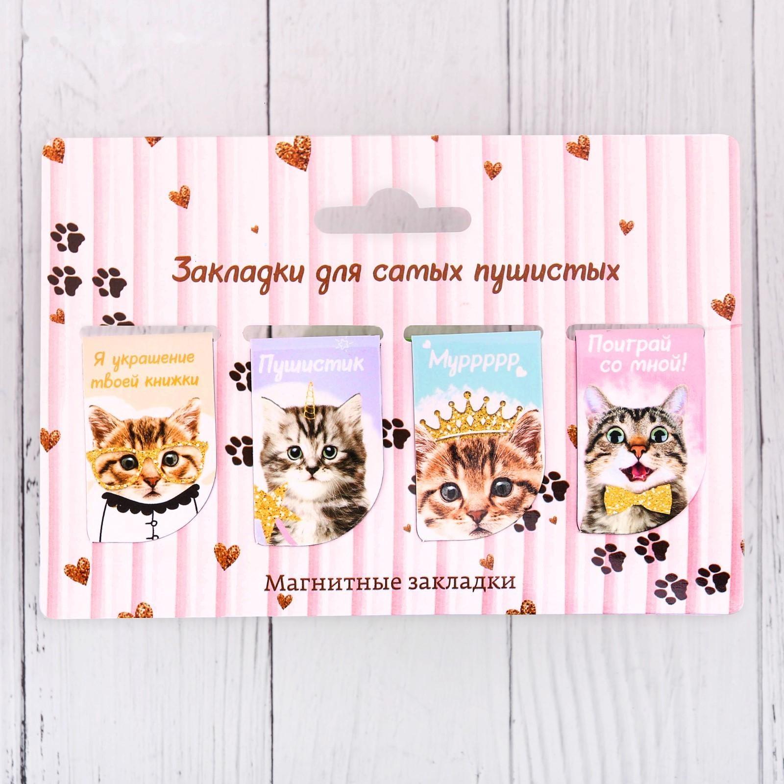 Набор магнитных закладок 