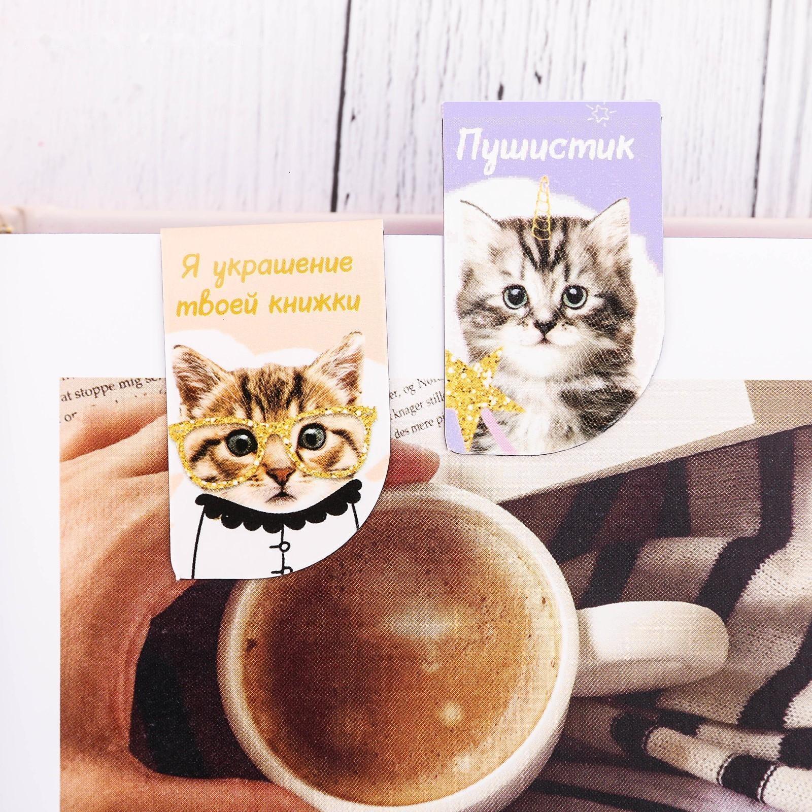 Набор магнитных закладок 