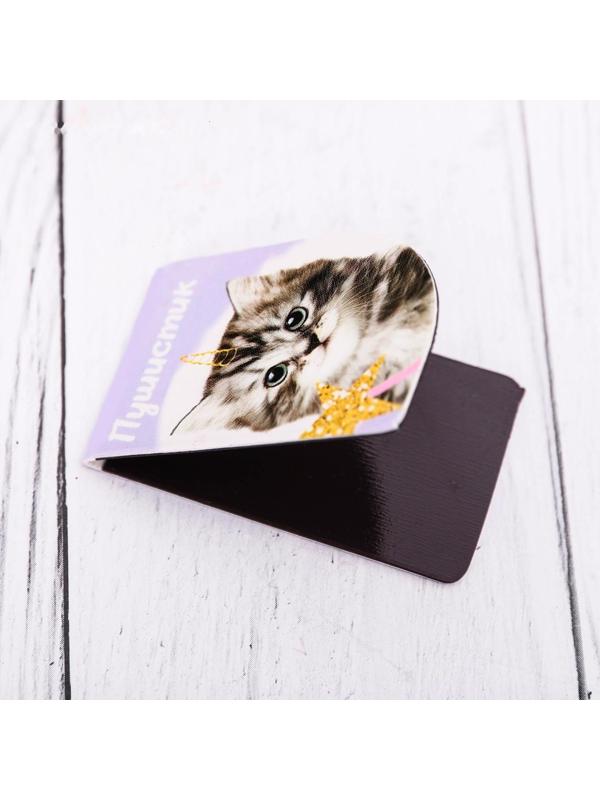 Набор магнитных закладок 