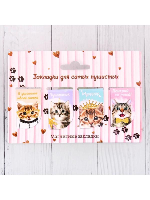 Набор магнитных закладок 
