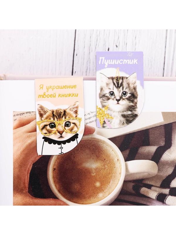 Набор магнитных закладок 