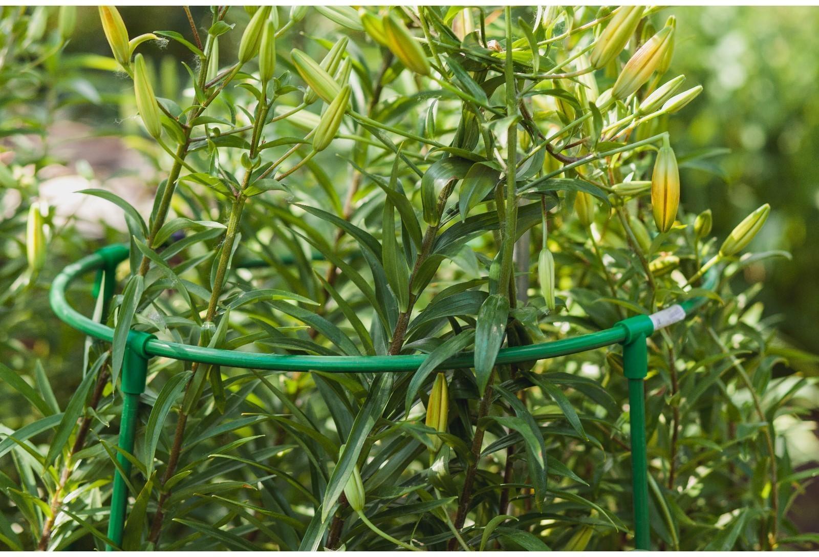 Кустодержатель, d = 50 см, h = 100 см, ножка d = 1 см, металл, зелёный, троеножка