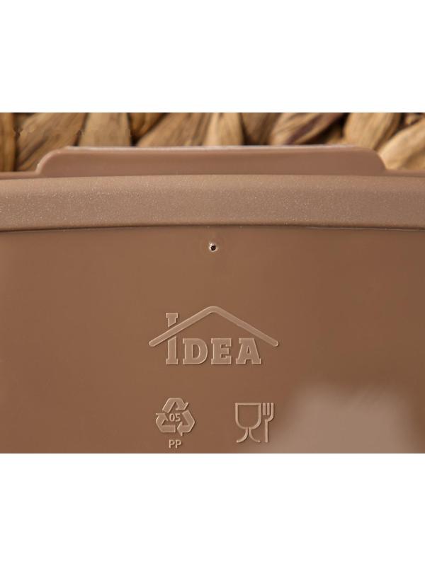 Бутербродница «Совы», 400 мл, цвет коричневый