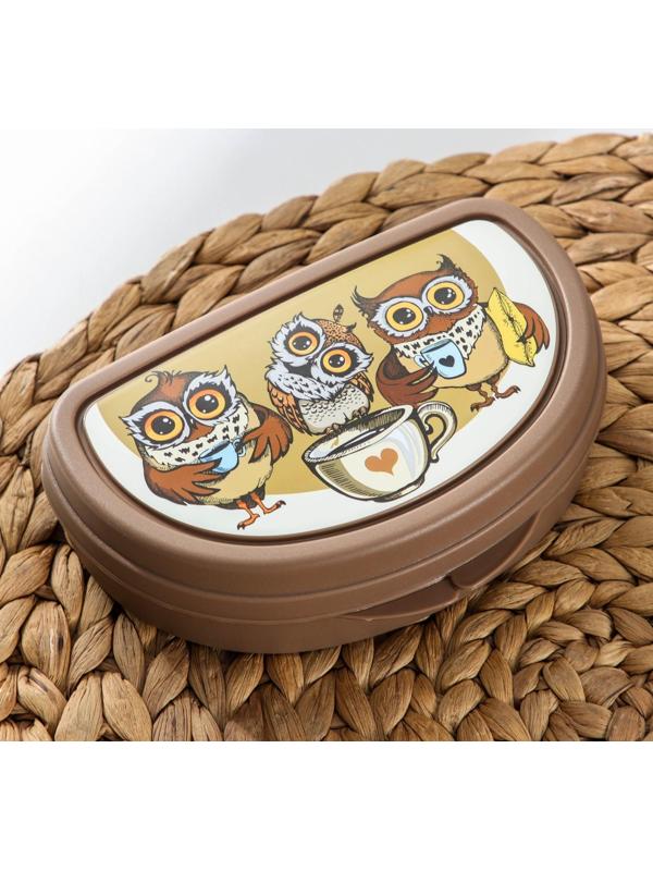 Бутербродница «Совы», 400 мл, цвет коричневый