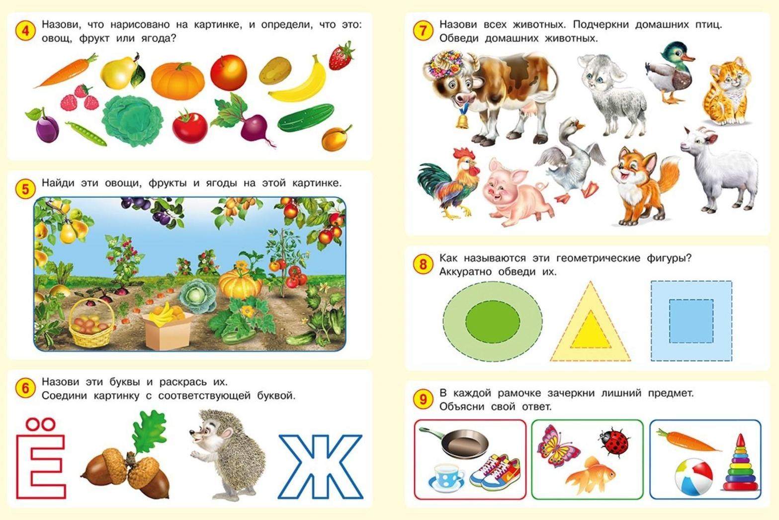50 развивающих заданий: для детей 4 лет