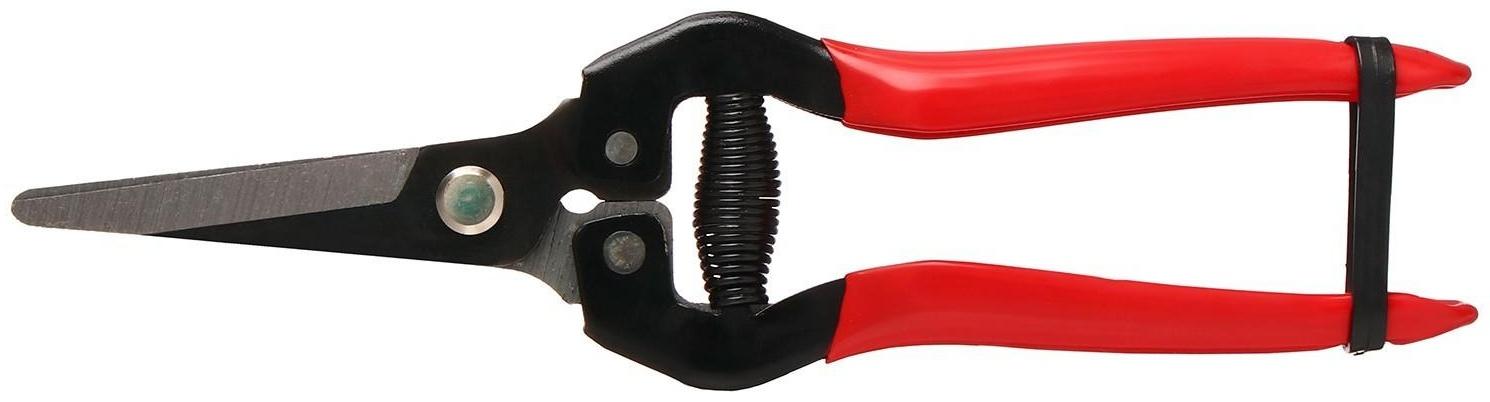 Ножницы садовые, 8