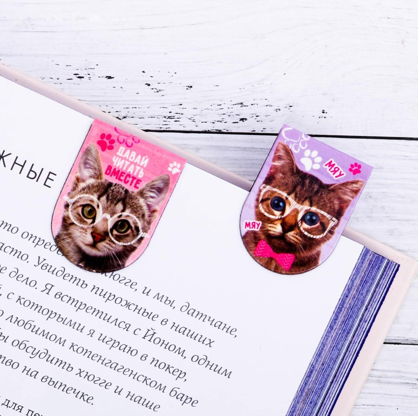 Магнитные закладки на подложке 