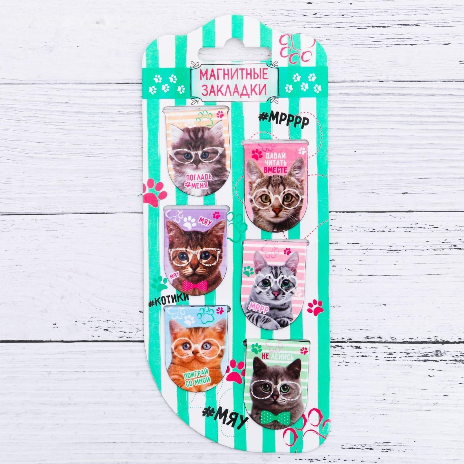 Магнитные закладки на подложке 