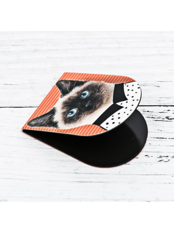 Магнитные закладки 