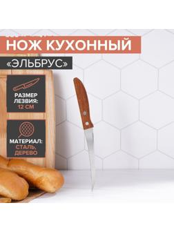 Нож кухонный «Эльбрус», лезвие 12 см