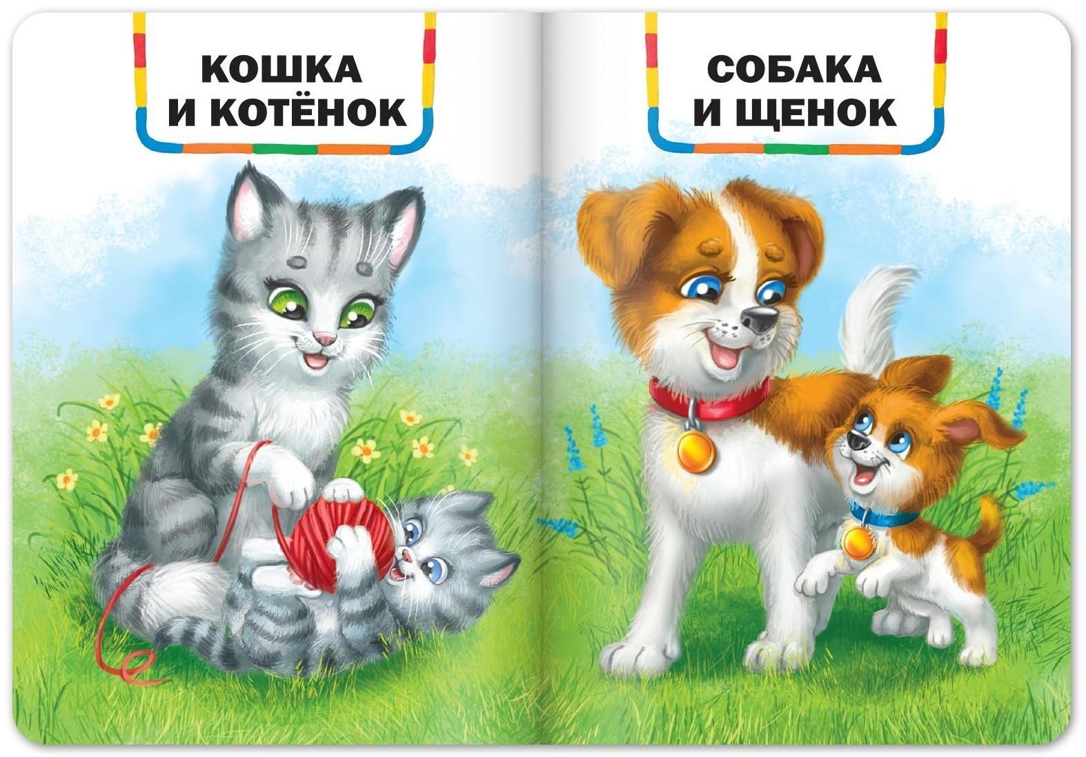 Книги картонные набор «Детские стихи», 6 шт., по 10 стр.