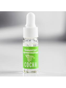 Ароматизатор концентрированный водорастворимый, 5 мл, «Сосна»