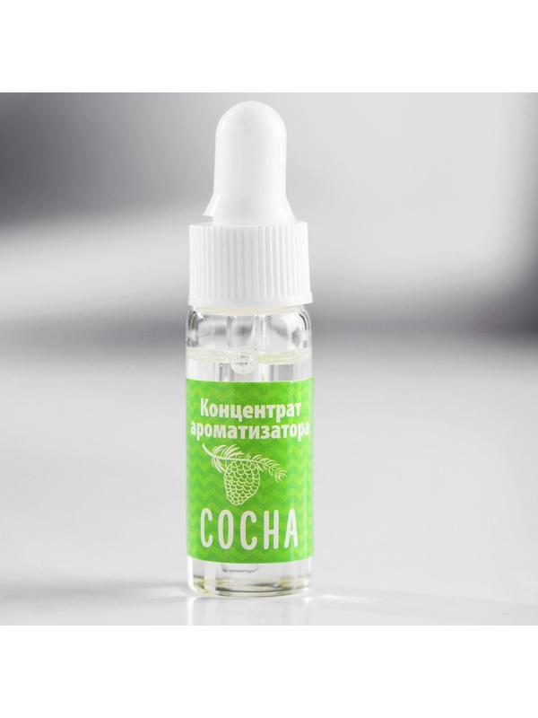 Ароматизатор концентрированный водорастворимый, 5 мл, «Сосна»