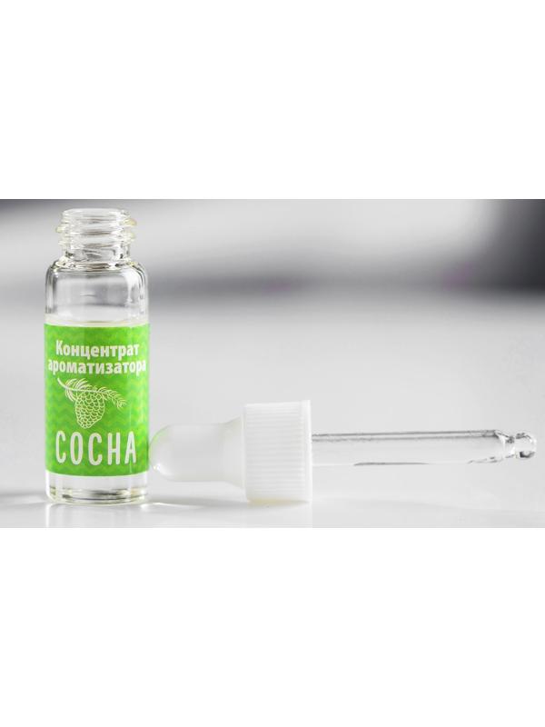 Ароматизатор концентрированный водорастворимый, 5 мл, «Сосна»