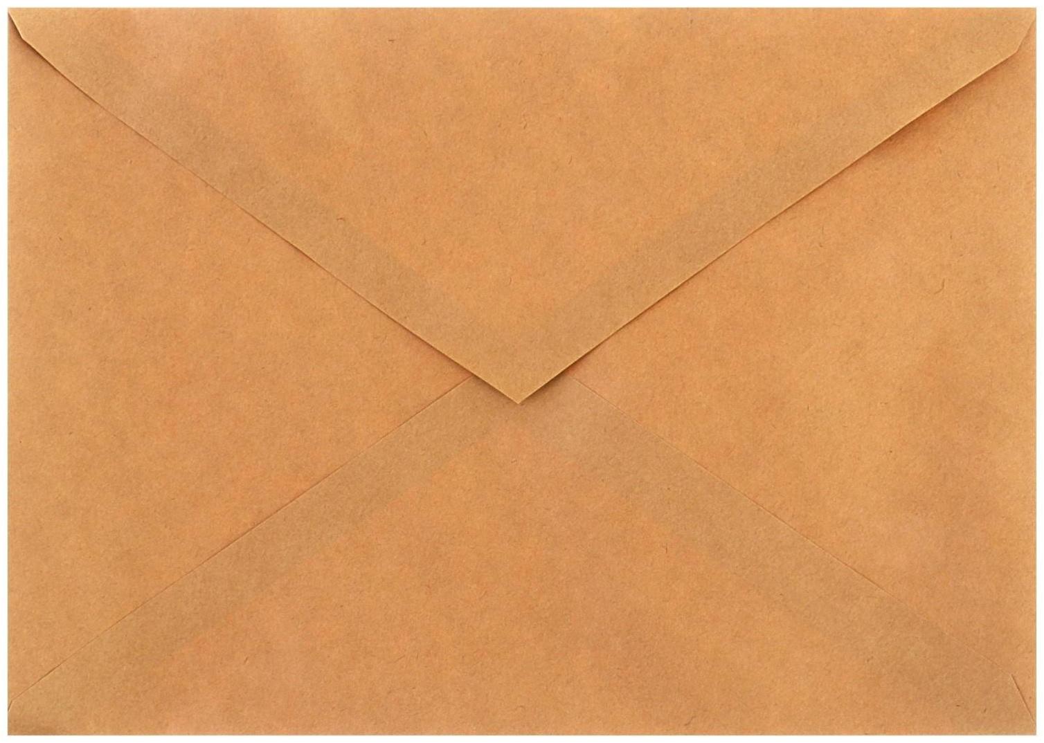 Конверт почтовый крафт С4 229 x 324 мм, без подсказа, без окна, без клея, 80 г/м2