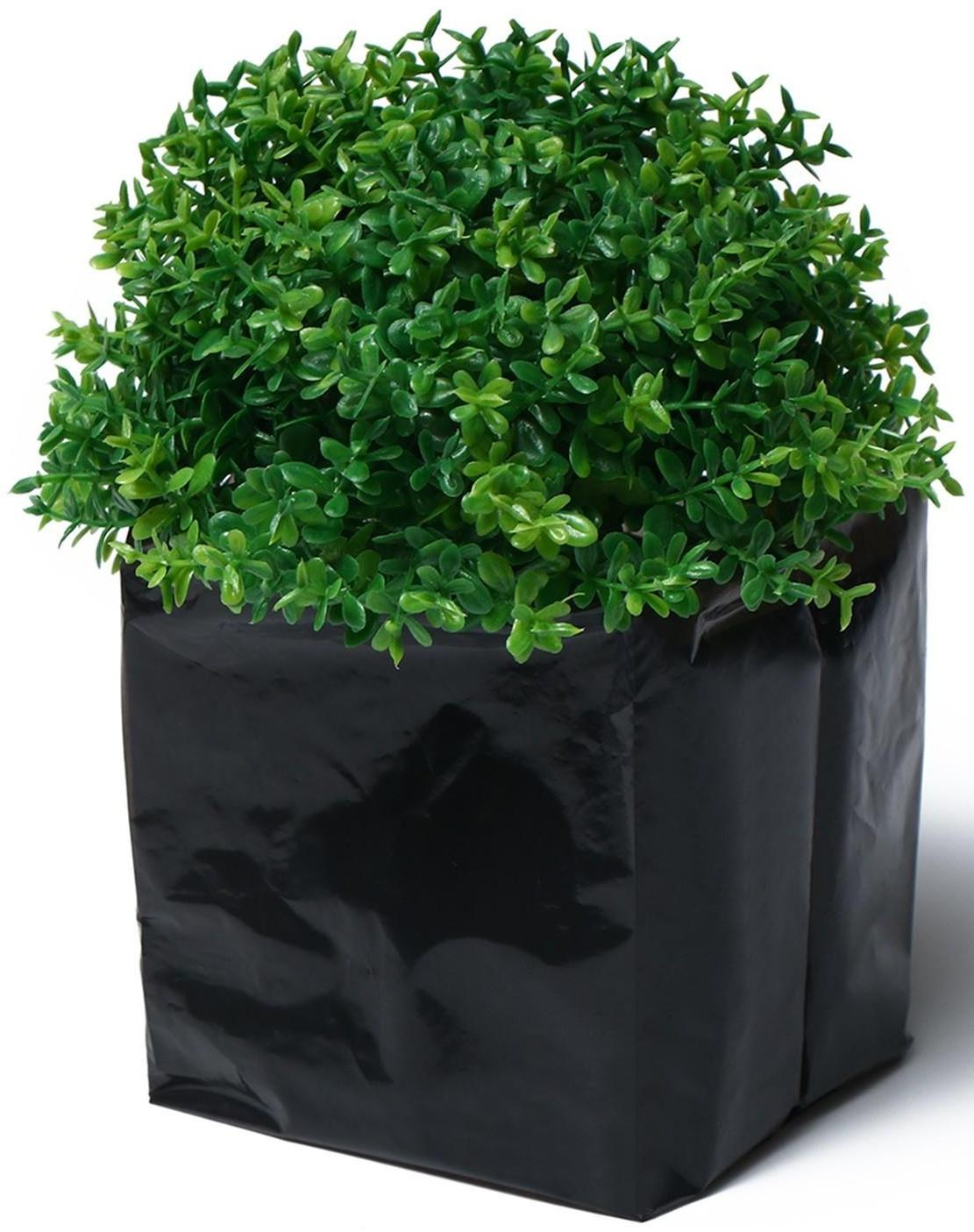 Пакет для рассады, 0.6 л, 8 × 14 см, полиэтилен толщиной 50 мкм, с перфорацией, чёрный, Greengo