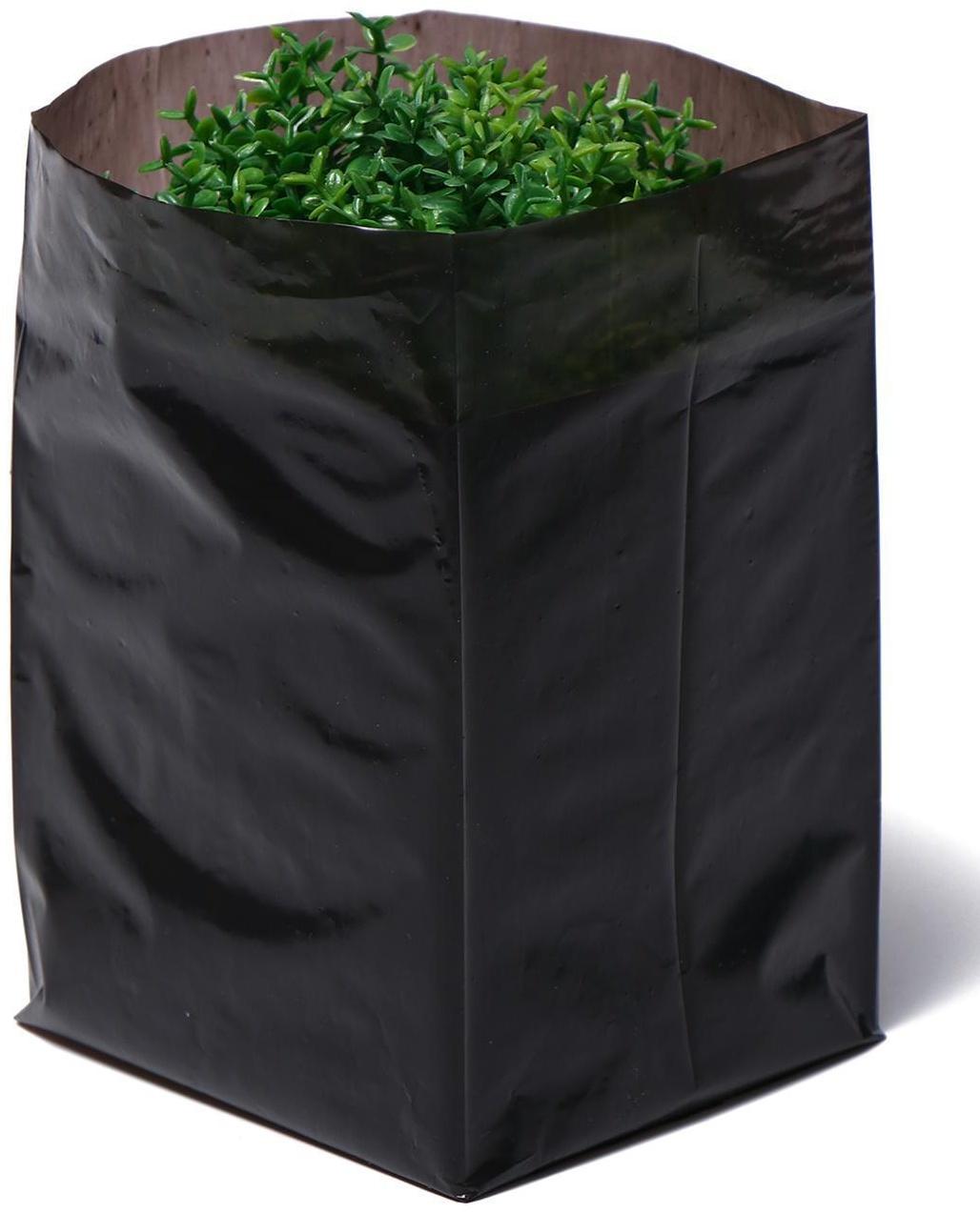 Пакет для рассады, 1 л, 9 × 18 см, полиэтилен толщиной 50 мкм, с перфорацией, чёрный, Greengo