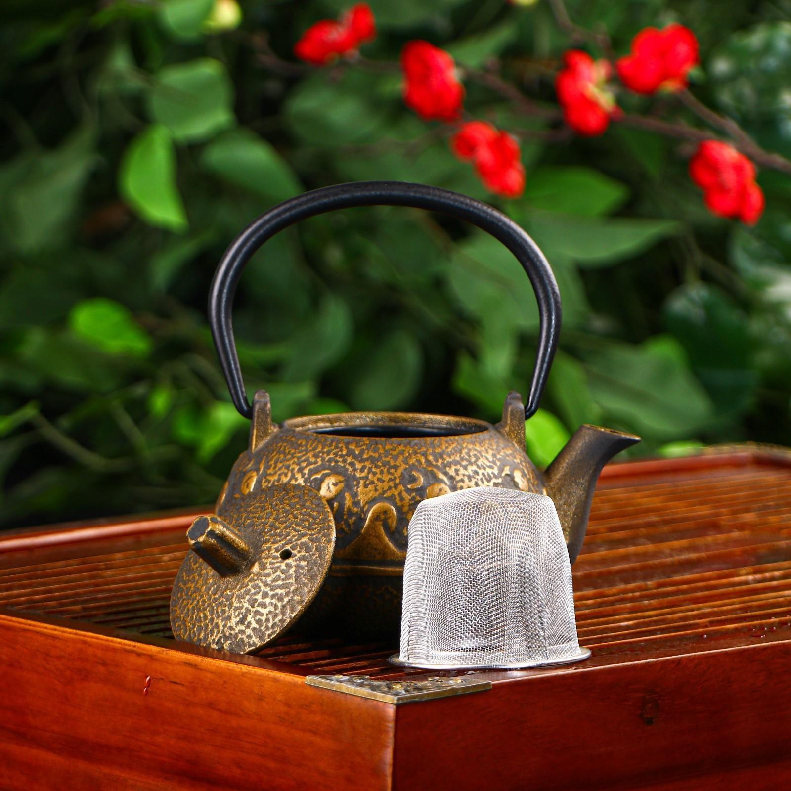 Чайник чугунный Доляна «Волна. Этно», 300 мл, с ситом, цвет бронзовый