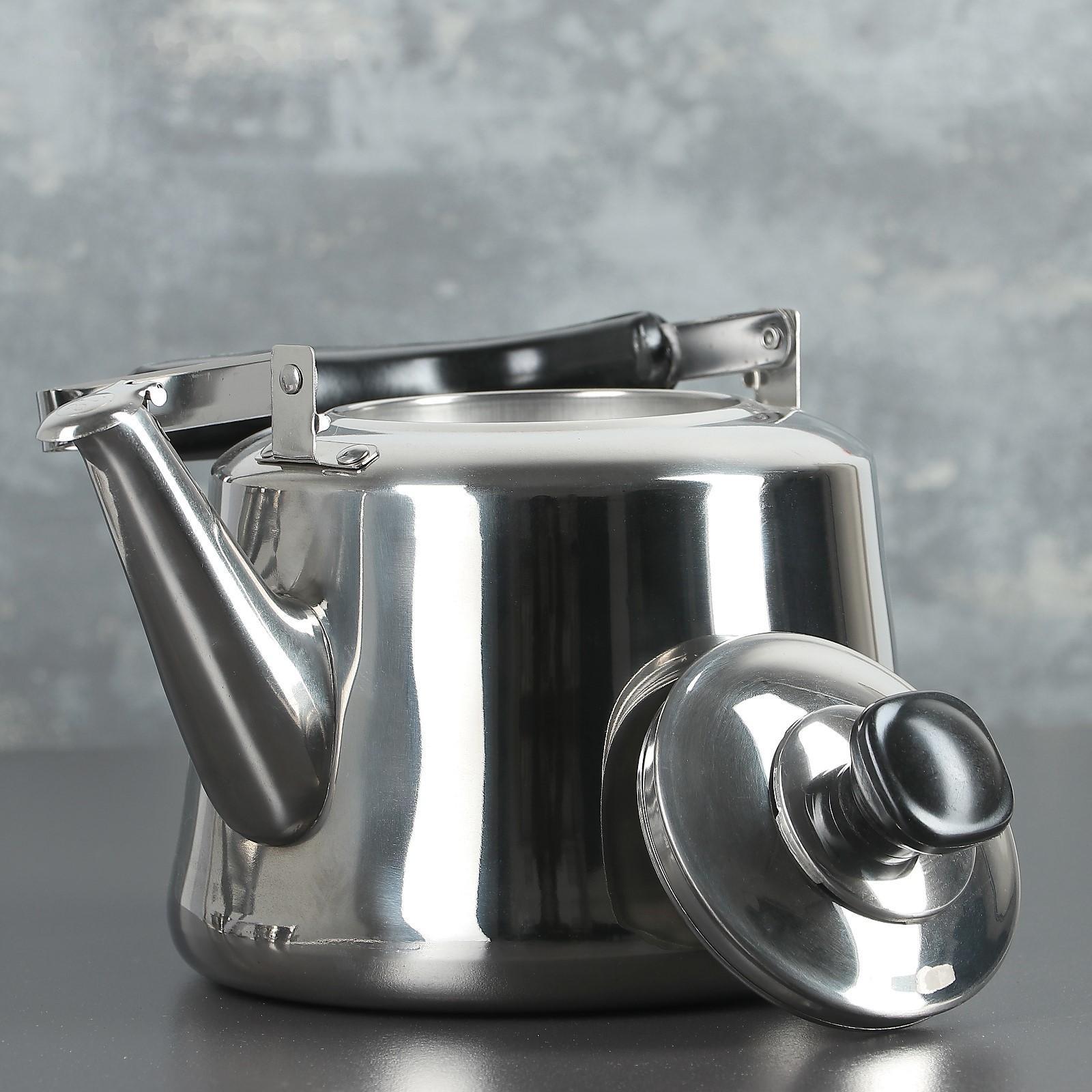 Чайник из нержавеющей стали «Чайковский», 3 л