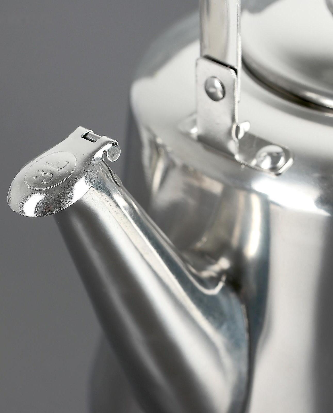 Чайник из нержавеющей стали «Чайковский», 3 л