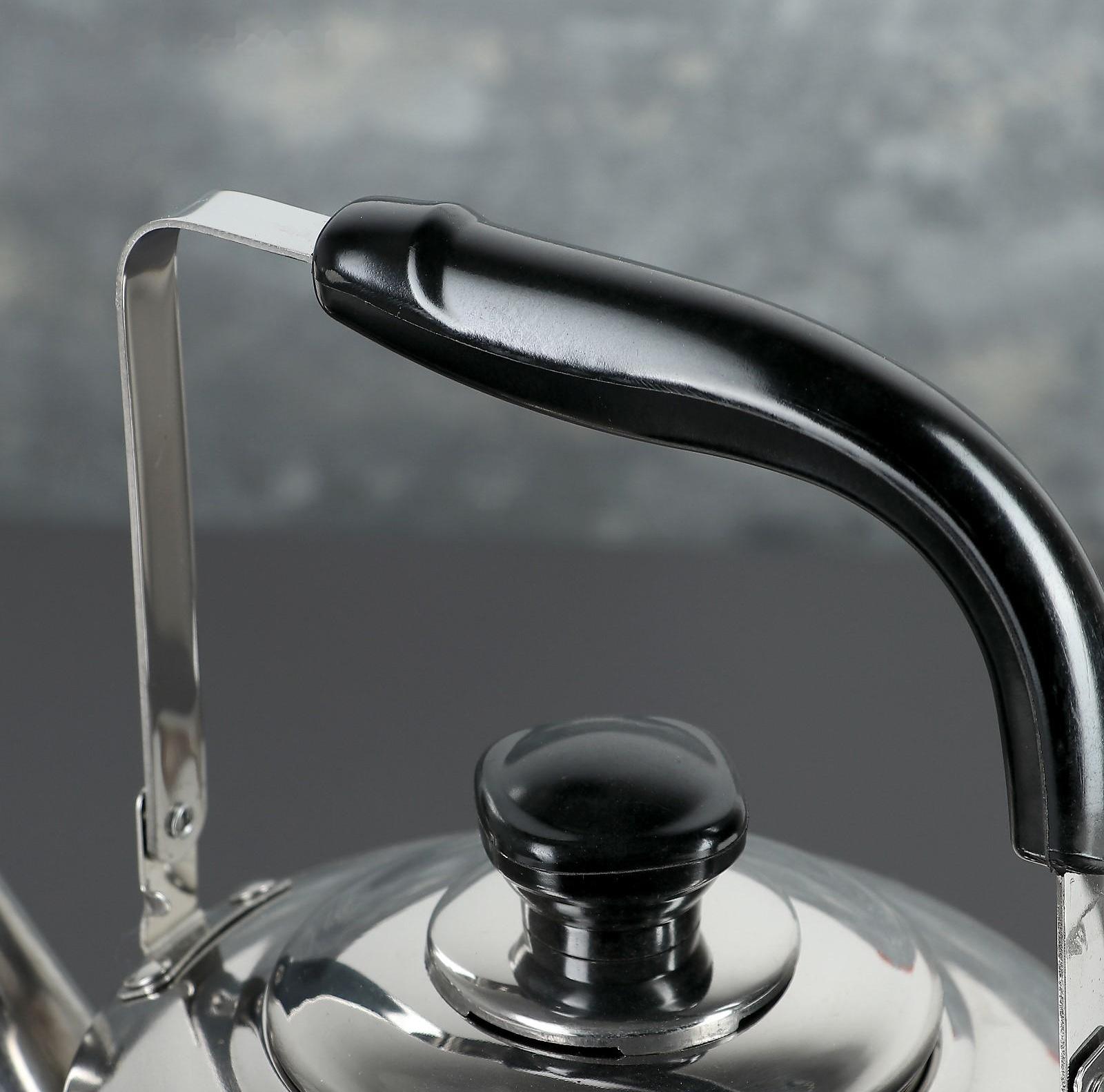 Чайник из нержавеющей стали «Чайковский», 3 л