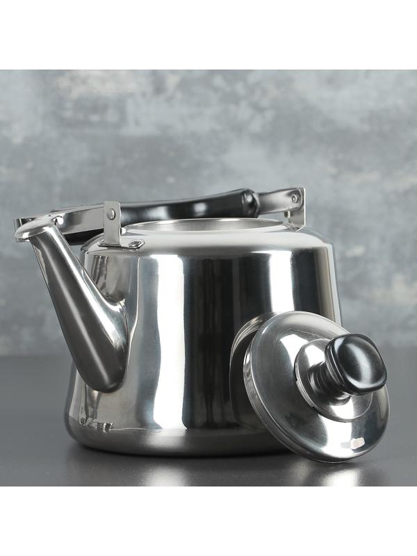 Чайник из нержавеющей стали «Чайковский», 3 л