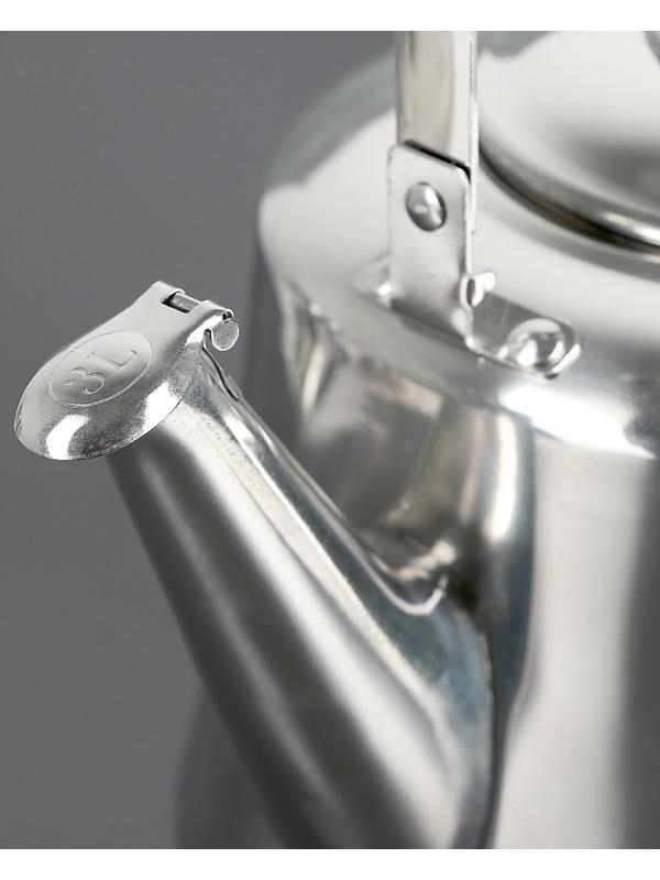 Чайник из нержавеющей стали «Чайковский», 3 л