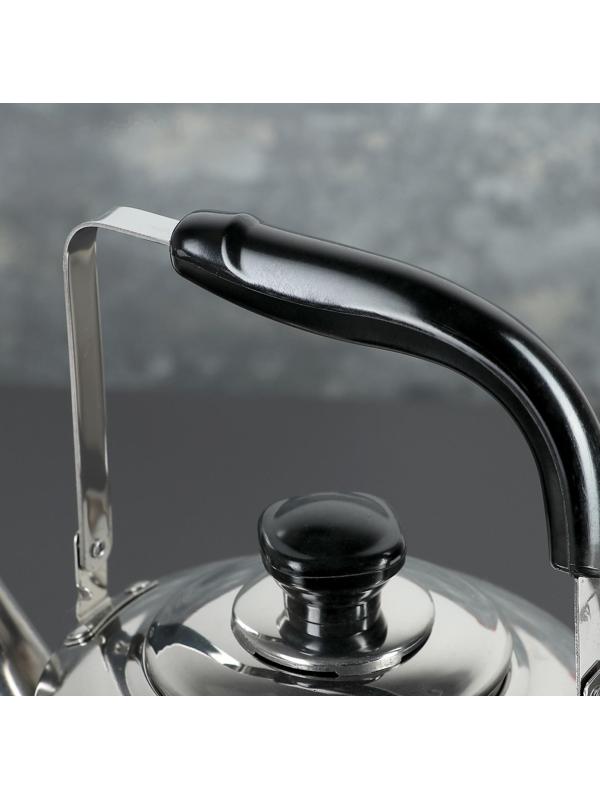 Чайник из нержавеющей стали «Чайковский», 3 л