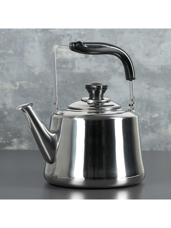 Чайник из нержавеющей стали «Чайковский», 3 л